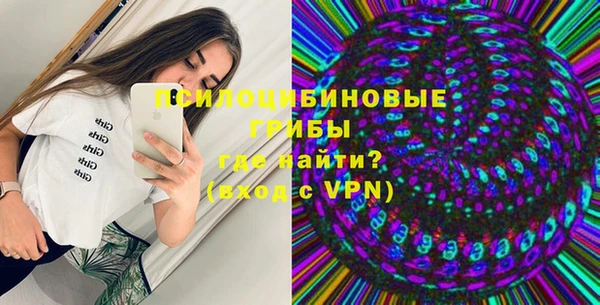 хмурый Алексин