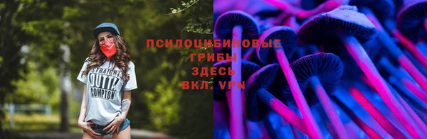 хмурый Алексин