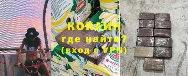 шишки Алзамай