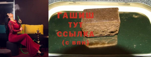 хмурый Алексин