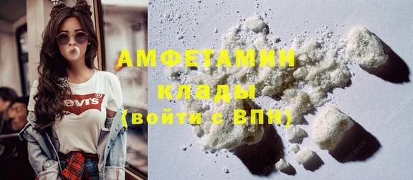 хмурый Алексин
