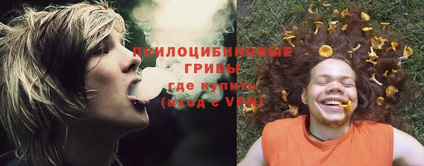шишки Алзамай