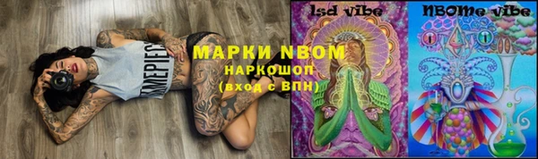 шишки Алзамай