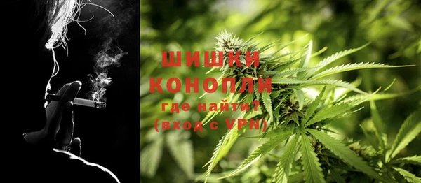 шишки Алзамай