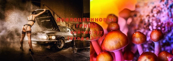 МДПВ Алексеевка