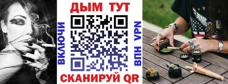 как найти Калининск Каннабис сатива